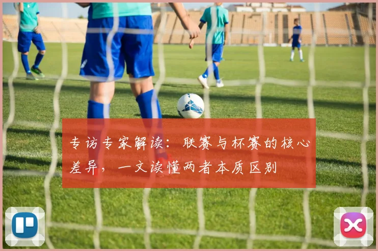 专访专家解读：联赛与杯赛的核心差异，一文读懂两者本质区别